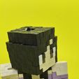 20250815_162202.jpg Minecraft Aphmau play figure
