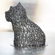 IMG_7992.JPG Fichier STL gratuit West Highland White Terrier Voronoi・Modèle pour impression 3D à télécharger