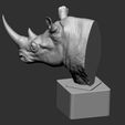 03.jpg Rhino