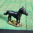 fb798ec7-28d6-42e9-98e7-25ba38c8a978.jpg Wild Horse with removable back for 1 inch miniature
