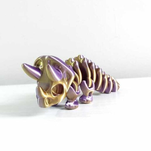 WhatsApp-Image-2023-08-01-at-8.01.20-AM-3.jpeg Nice Triceratops Skeleton