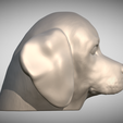 Zrzut-ekranu-2025-06-13-220050.png 用于 3D 打印的比格犬头部小狗