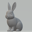 rabbit_side.png Conejo