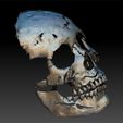 Net1.jpg STL file Skull mask robot・3D printable model to download, 1836152