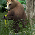0_00040.png Bear DOWNLOAD Bear 3d model - animated for blender-fbx-unity-maya-unreal-c4d-3ds max - 3D printing Bear Bear