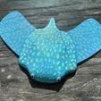 9e41eff716399109.webp Gliding manta ray toy that swims forward