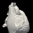 4.png 3D Model of Heart (apical 2 chamber plane)