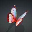 g.jpg DOWNLOAD BUTTERFLY 3D MODEL - ANIMATED - MAYA - BLENDER 3 - 3DS MAX - UNITY - UNREAL - CINEMA 4D - 3D PRINTING - OBJ - FBX - 3D PROJECT CREATE AND GAME READY BUTTERFLY