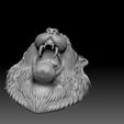 ZGrab11.jpg roaring tiger head
