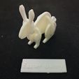 3.3-bunny-kit.jpg Bunny Kit Card