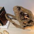 IMG_20210703_205254.jpg Majungasaurus Schädel 3D-Druck - Dinosaurier