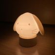 fig12429063_43.jpg Soothing Holland Lop Lampshade