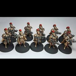 Custom_SoS_Proxy_Painted_3.jpg STL file Custom Custodes Sisters of Silence Proxy Miniatures (Modular, Boltguns and Flamers)・3D printer design to download