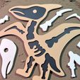 1-2.jpg Pterodactyl Dinosaur Skeleton Puzzle – Educational Toy – DIY Assembly Model – STL File