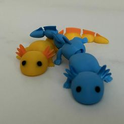 IMG_8708.jpg Cute Flexi Fidget Axolotl