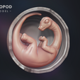 BabySauropod-Render-16_9-_Final.png Baby Sauropod Egg