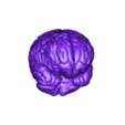 BrainSTL.stl Human Brain Structure ( Educational Prints )
