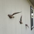 IMG_5554.jpeg Birds in Flight: Three beautiful wall-mounted bird sculptures