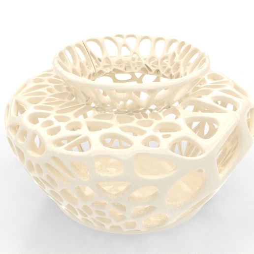 Medium Voronoi Flower Vase 3D model