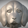 Zrzut-ekranu-2025-06-13-220022.png 用于 3D 打印的比格犬头部小狗