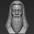 1.jpg Файл 3D Dumbledore from Harry Potter bust 3D printing ready stl obj・Модель для загрузки и печати в формате 3D