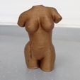 2573dbcb99fb9bfd37cef157e1405daf_display_large.jpg woman torso sculpture, nude