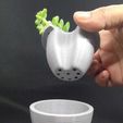 Mostrando vaso2.jpeg Self-watering Succulent Planter - seated