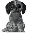 WhatsApp-Image-2023-09-11-at-03.13.30.jpeg FUNKO POP DOG (SETTER)
