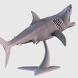 04.png White Shark Statue