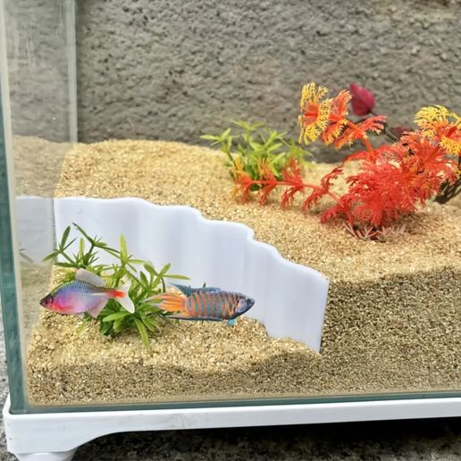 Barrier 1 - for aquarium 3D model