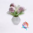 5.png Dado Polyhedron Planters - set of 3