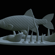 Perlin-16.png fish common rudd statue detailed texture for 3d printing