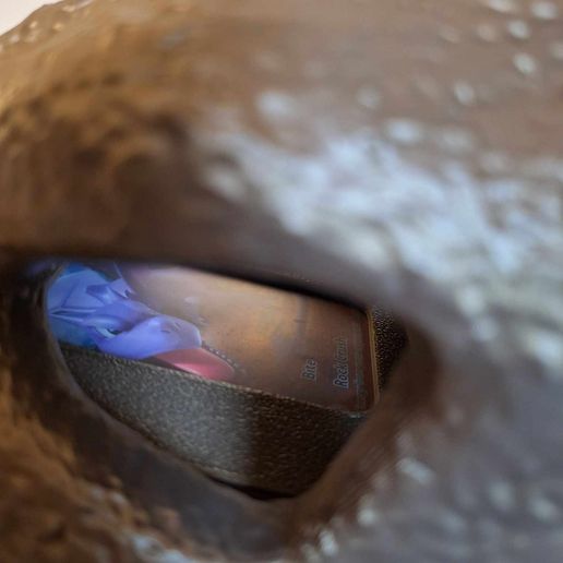 448215259_2264260670590137_5115064985506182726_n.jpg Aerodactyl skull fossil deck box storage/display