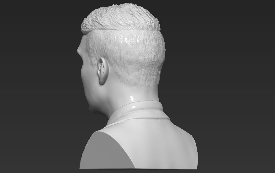 5.jpg Download file Tommy Shelby from Peaky Blinders bust 3D printing ready stl obj • 3D printer design, PrintedReality
