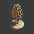 0006.png Morchella esculenta - MacroFungi Collection (5 of 10)