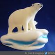 PolarBear01.jpg Fichier 3D Polar Bear - MultiMaterial - two versions・Plan à imprimer en 3D à télécharger