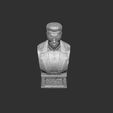 12.jpg Arnold T-800 bust with glasses for 3d print stl .2 options