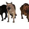 004.jpg DOG DOG DOWNLOAD German Shepherd 3d model animated for blender-fbx-unity-maya-unreal-c4d-3ds max - 3D printing DOG DOG DOG WOLF POLICE PET HUNTER RAPTOR