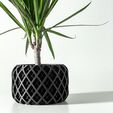 misprint-1569.jpg The Torio Planter Pot with Drainage Tray & Stand: Modern and Unique Home Decor for Plants and Succulents  | STL File