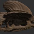 ZBrush-Document12.jpg Dilophosaurus Skull