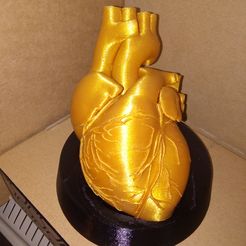 IMG_20190821_185435.jpg The golden heart