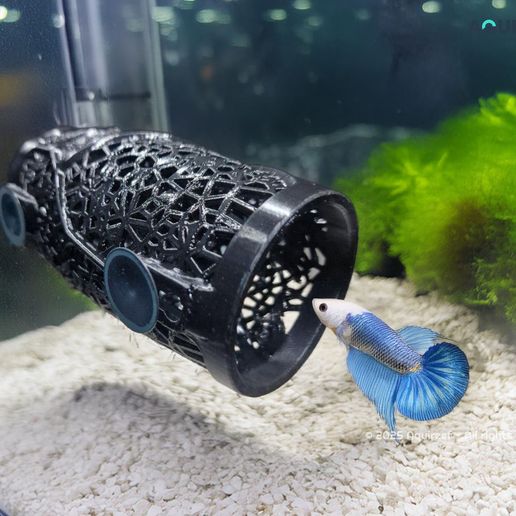 Diy Betta Fish Tank Fish Aquarium Diy Betta Toys Betta Voronoi