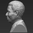 nelson-mandela-bust-ready-for-full-color-3d-printing-3d-model-obj-mtl-fbx-stl-wrl-wrz (25).jpg Nelson Mandela bust 3D printing ready stl obj