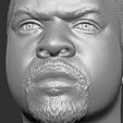 21.jpg Ice Cube bust 3D printing ready stl obj formats