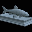 Gudgeon-statue-33.png fish gudgeon / gobio gobio statue detailed texture for 3d printing