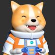 Close1.jpg Astronaut Shiba