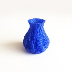 IMG_2040.JPG STL file Sponge Vase # 1・3D printable design to download