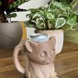 catmug.jpg Cat Mug