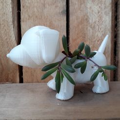 20191028_132008.jpg Plant vase the dog