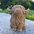 74a42f9a-ff1e-4a61-9cc3-cf74d658e6d0.jpg Highland Herd – 6-Design Bundle